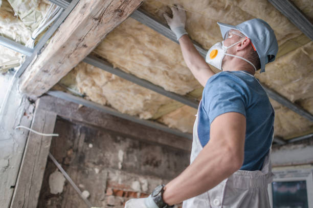 Best Types of Insulation in Hampstead, MD