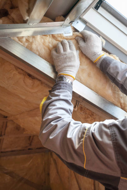 Best Residential Insulation in Hampstead, MD