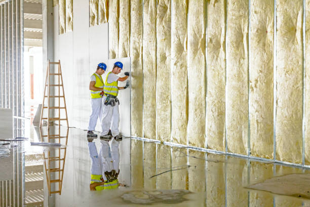 Best Types of Insulation in Hampstead, MD